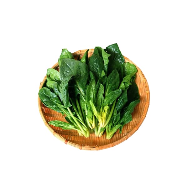 Spinach 1pack