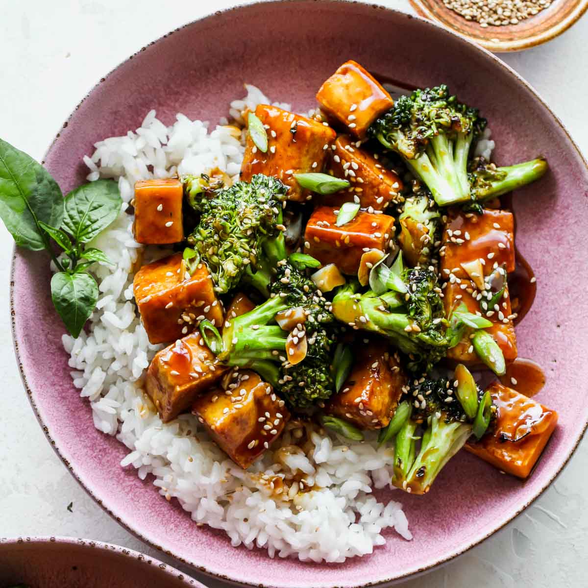 How to Make a Pan Fried Garlic Soft Tofu with Steamed Rice